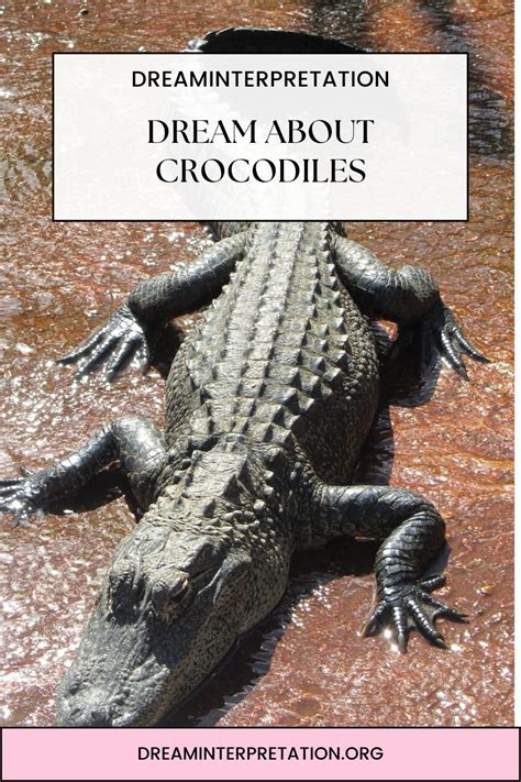 14 Dreams About Crocodiles – Meaning & Interpretation.